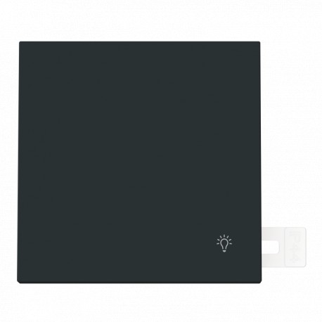 NIESSEN 2CLA480420A1501 2CLA480420A1501 4804.2 NT NIESSEN Light symbol button IP44 NT